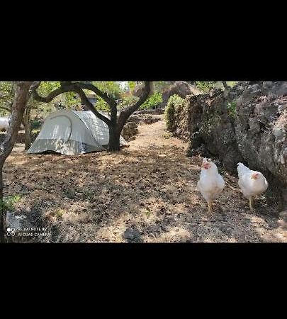 Tenda Etna Into The Wilde Montargano Екстер'єр фото