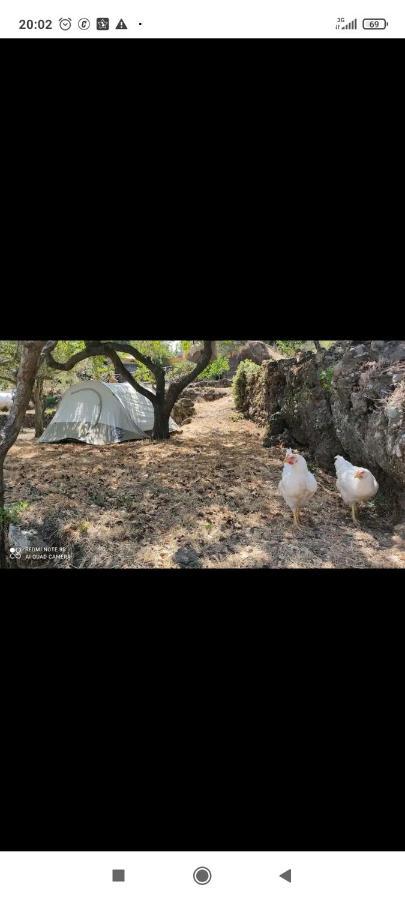 Tenda Etna Into The Wilde Montargano Екстер'єр фото